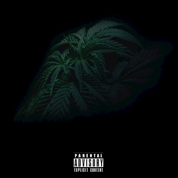 TreeXX