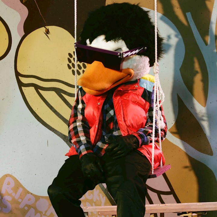 WATCH THE DUCK