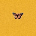 songs-vlogs