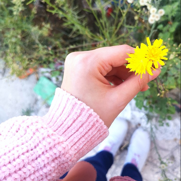 hana M.A
